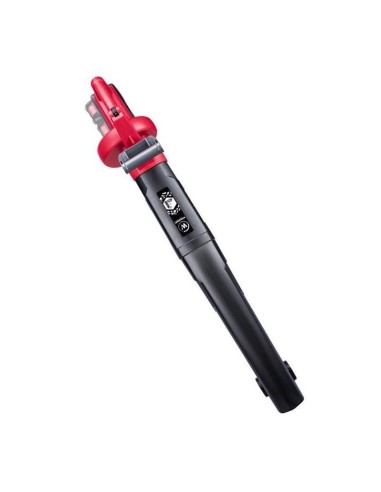 Aspirator frunze,?2x20V Li-ion (acumulatori...