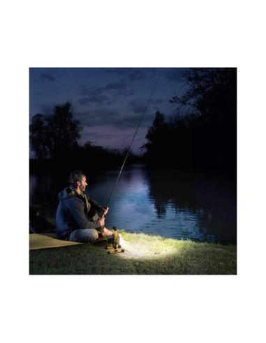 Proiector lucru, LED SMD, cu acumulator si...