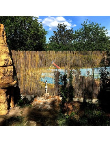 Gard/paravan din trestie, 5x1.5 m