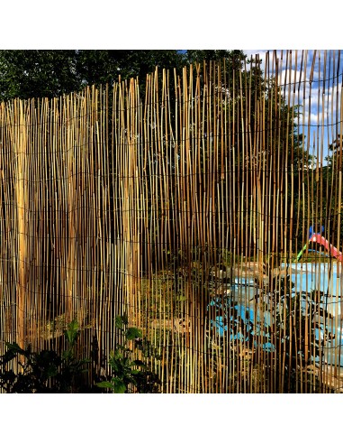 Gard/paravan din trestie, 5x1.5 m