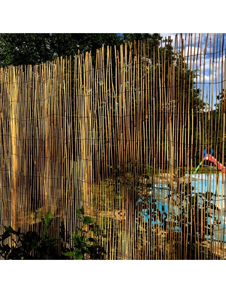 Gard/paravan din trestie, 5x1.5 m