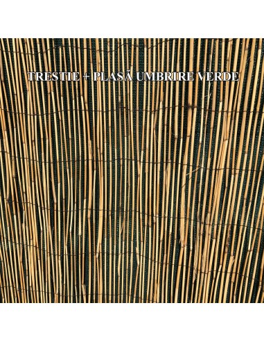 Gard/paravan din trestie, 5x1.5 m