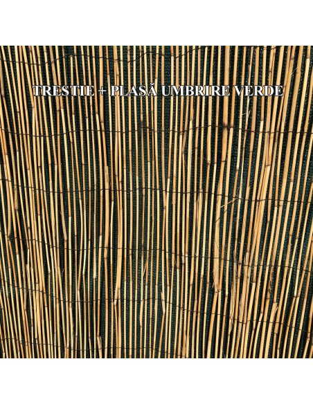 Gard/paravan din trestie, 5x1.5 m