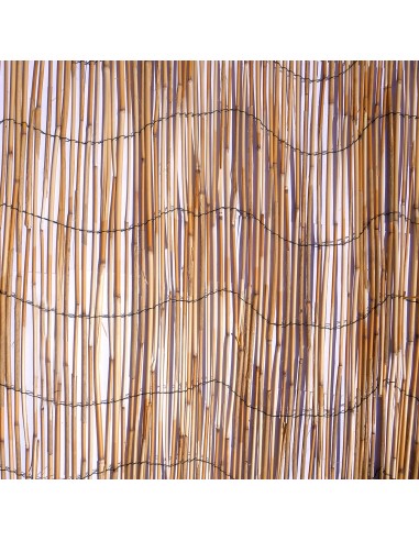 Gard/paravan din trestie, 5x1.5 m