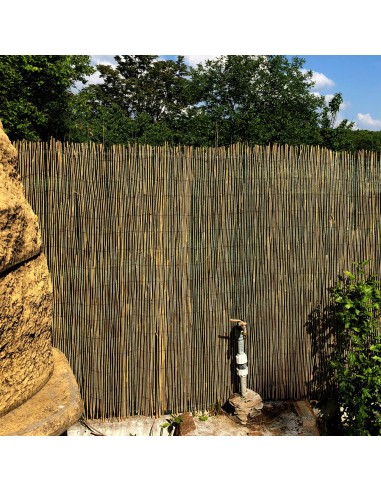 Gard/paravan din trestie, 5x1.5 m