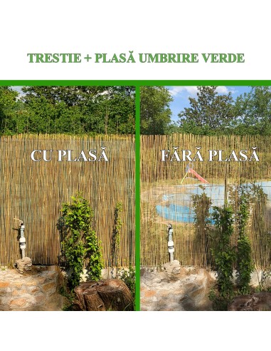 Gard/paravan din trestie, 5x1.5 m