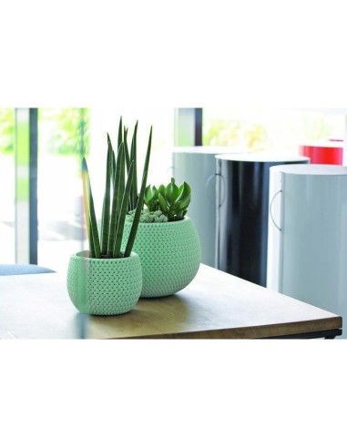 Ghiveci decorativ pentru flori, rotund, verde,...