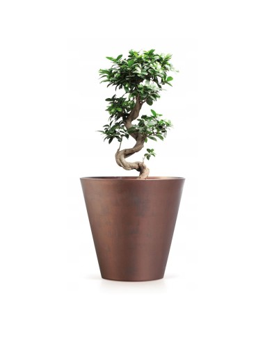 Ghiveci decorativ de flori, rotund, cupru, 12...