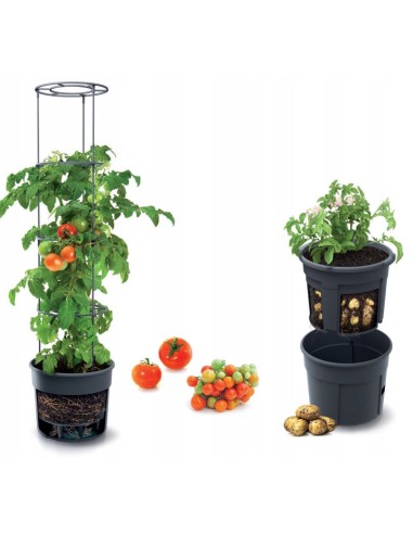 Ghiveci decorativ pentru rosii, rotund,...