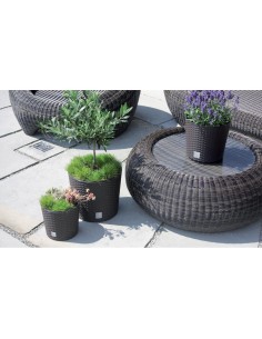 Ghiveci decorativ de flori, Prosperplast, Rato, imitatie... 2