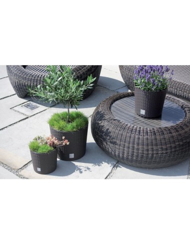 Ghiveci decorativ de flori, Prosperplast, Rato,...