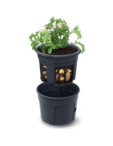 Ghiveci pentru cartofi 2in1, 295x245mm,...