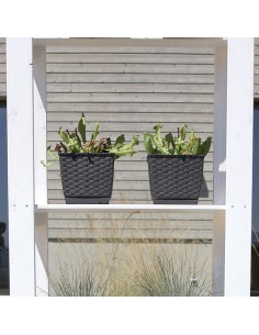 Ghiveci de flori, Prosperplast, Ratolla, patrat, 3.8 L,... 2