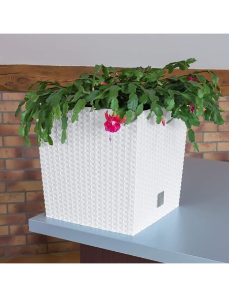 Ghiveci de flori, Prosperplast, Rato Low, patrat, 6.8 L, imitatie ratan, alb, 20x20x20.2 cm