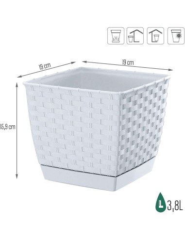 Ghiveci de flori patrat, RATOLLA, 19 x 19 cm,...