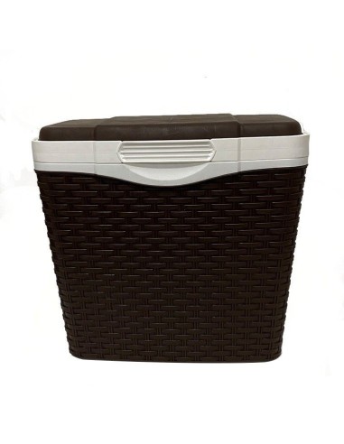 Geanta frigorifica Rattan, pentru camping,...