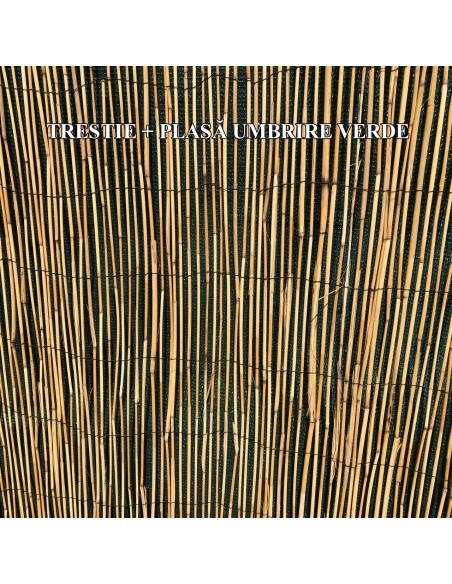 Gard/paravan din trestie, 5x1 m