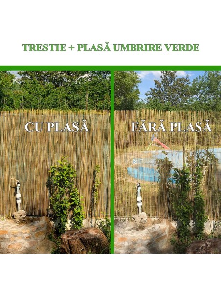 Gard/paravan din trestie, 5x1 m