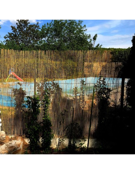 Gard/paravan din trestie, 5x1 m