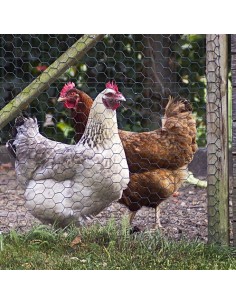 Gard plasa rabitz, pvc, verde, 13 mm, 0.9 mm, inaltime 0.5 m 2