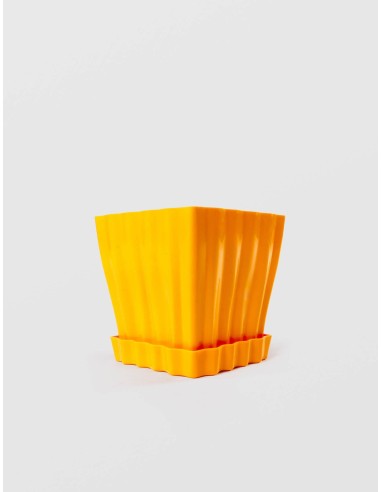 Ghiveci TULIPE, STERK, 10 X 10 cm Plastic...