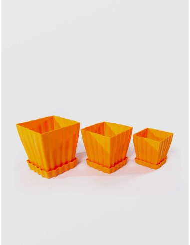 Ghiveci TULIPE, STERK, 10 X 10 cm Plastic...