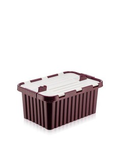 Cutie depozitare 10L cu capac incorporat, din plastic color