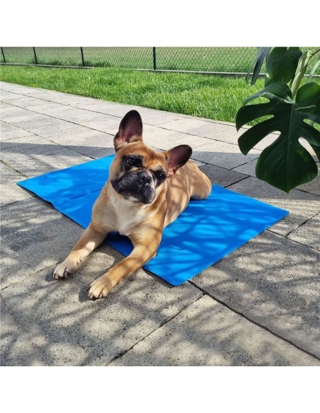 Covoras cu efect de racire pentru caine/pisica, impermeabil, albastru, marime XXL, 90x50 cm, Springos