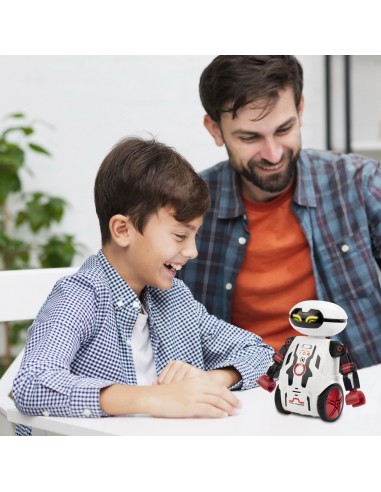 ROBOT ELECTRONIC MAZE BREAKER