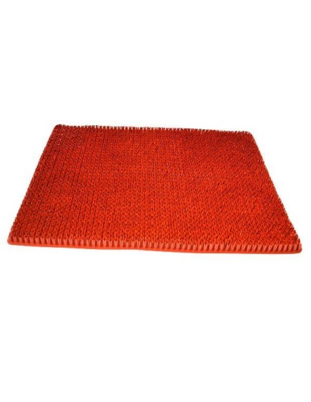 Pres covoras intrarea exterior, 40x60 cm, arici, maro