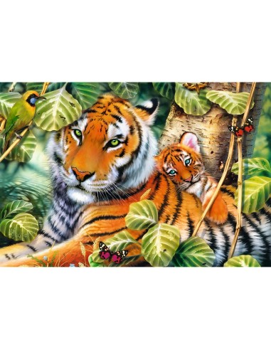 PUZZLE TREFL 1500 TIGRI BENGALEZI IN PADUREA...
