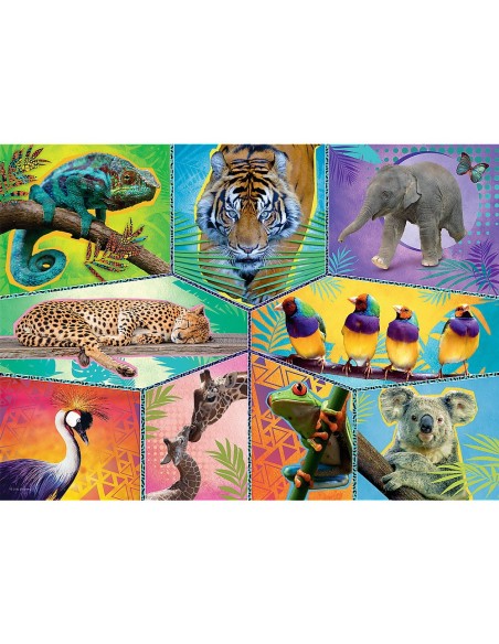 PUZZLE TREFL 200 ANIMAL PLANET O LUME EXOTICA