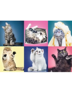 PUZZLE TREFL 500 PISICUTE 2