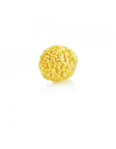 Burete natural pentru bebelusi BabyJem Sea Sponge