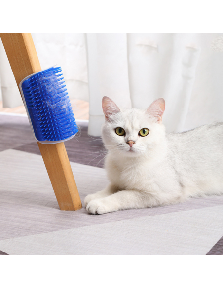 Perie de masaj si curatarea blanii cu iarba Catnip pentru pisicute, montaj pe colturi, 8.5 x 12.5 cm, Albastru