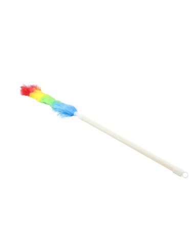 Pamatuf pentru praf multicolor 60 cm